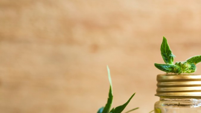 Los productos de CBD no alivian el dolor crónico: estudio