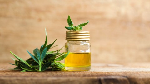 Los productos de CBD no alivian el dolor crónico: estudio