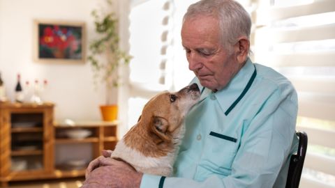 Algunos perros son capaces de olfatear el trastorno de estrés postraumático en el aliento humano