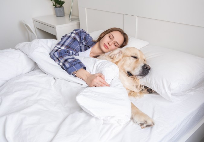 Soñar con perros tiene un significado asociado con nuestra vida cotidiana.