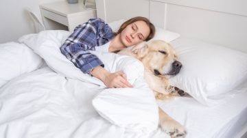 Soñar con perros tiene un significado asociado con nuestra vida cotidiana.