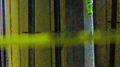Violencia en Celaya