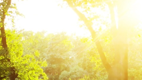 Vivir cerca de espacios verdes reduce el riesgo de depresión y ansiedad: estudio
