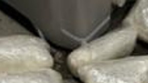 CBP descubre casi 50 libras de metanfetamina en una hielera llena de peces muertos en cruce fronterizo