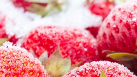 Las fresas importadas en EE.UU. podrían estar "altamente" contaminadas con pesticidas: informe