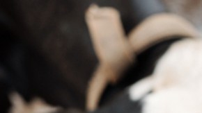 Inquietud por gripe aviar en EE.UU.: solicitan medidas urgentes ante propagación en vacas lecheras