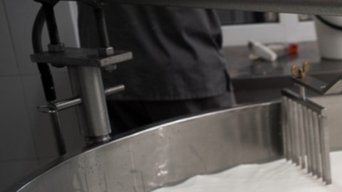 Autoridades revelan fragmentos virales de la gripe aviar encontrados en leche pasteurizada