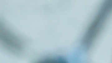 Texas: CDC advierten sobre la transmisión de la gripe aviar H5N1 de vaca a humano