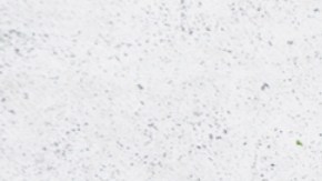 Porqué los huevos deben ser un aliado fundamental en tu dieta