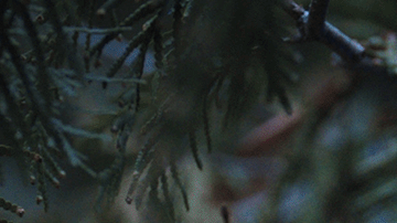 El rodaje de la segunda temporada de Merlina comenzará este mes