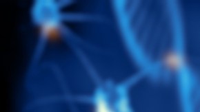 Descubren 'neuronas zombis' relacionadas con el proceso de aprendizaje en el cerebro