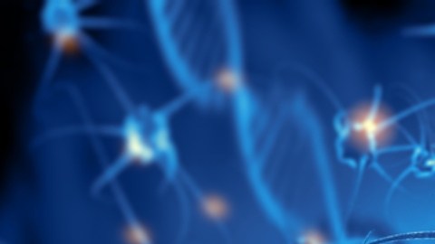 Descubren 'neuronas zombis' relacionadas con el proceso de aprendizaje en el cerebro