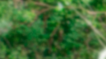 La numerología te ayuda a descifrar parte de tu personalidad.