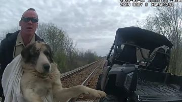 VIDEO: Dramático rescate de un perro herido atrapado en las vías de un tren en Oklahoma