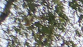 Residentes y trabajadores campesinos recuerdan a líderes latinos.