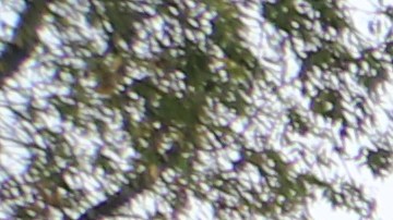 Residentes y trabajadores campesinos recuerdan a líderes latinos.