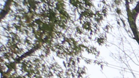 Residentes y trabajadores campesinos recuerdan a líderes latinos.