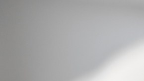 Por qué los dueños de mascotas están abogando contra las vacunas contra la rabia