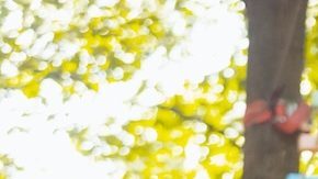 Niña baja por la tirolesa del parque.