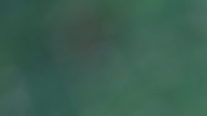 Ahorrar dinero para prepararse en el futuro y concepto de jubilación de pensiones