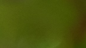 Find My Device