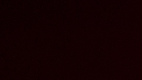 Al menos seis heridos en un tiroteo dentro de un club nocturno de Washington, DC