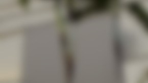 Las autoridades arrestaron a Daniel Acevedo como sospechoso del crimen de Anna Meza, en 2017.