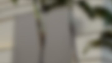 Las autoridades arrestaron a Daniel Acevedo como sospechoso del crimen de Anna Meza, en 2017.