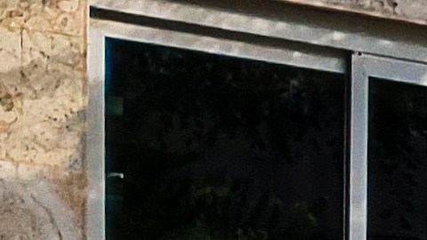 Hombre detenido por matar a golpes a mujer transgénero en un edificio de Miami Beach