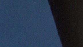 Mujer en Maryland prendió fuego a su hijo de 8 años porque ensució la mesa mientras comía cereal