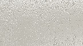 Capturan en video la brutal golpiza de una estudiante de secundaria de Florida contra su compañera