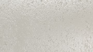 Capturan en video la brutal golpiza de una estudiante de secundaria de Florida contra su compañera