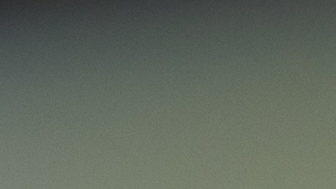 Microsoft OpenAI
