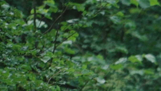 Seguro Social, jubilados, Estados Unidos