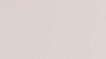 Rescatan a niño de 10 años que quedó atrapado en la chimenea de su casa en Massachusetts