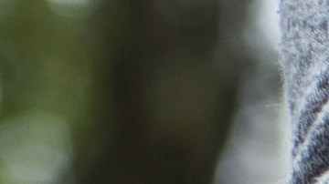 Maestra de Nebraska fue atrapada desnuda en un automóvil con un estudiante adolescente