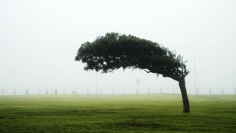 El aire es un elemento zodiacal que se asocia a la personalidad de 3 signos.