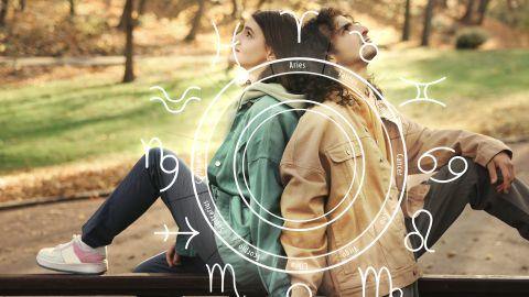 Los signos zodiacales opuestos se atraen.