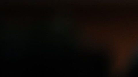 Un símbolo de paz para la cultura oriental es el Buda y el Conejo.