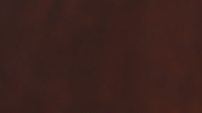 Papas fritas en un restaurante Wendy's.