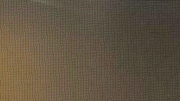 Víctor Manuel Vucetich (cortesía Mazatlán FC)