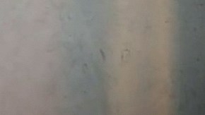 Livia Brito | Foto: Mezcalent