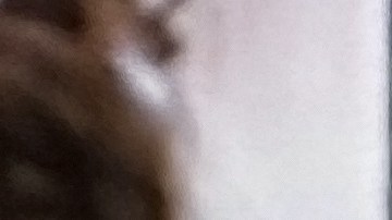 Dulce María | Foto: Mezcalent