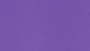 Wendy Guevara contó que tuvo una experiencia paranormal tras su cirugía