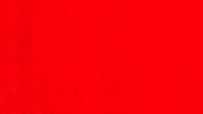 Gabriel Soto | Mezcalent