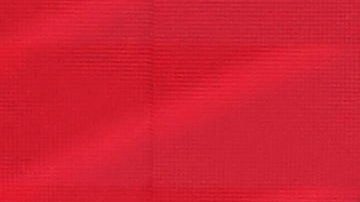 Miami Gardens (United States), 06/05/2024.- First place winner McLaren driver Lando Norris of Britain acknowledges the crowd on the winners podium in the Formula 1 Miami Grand Prix, at the Miami International Autodrome in Miami Gardens, Florida, USA, 05 May 2024. (Fórmula Uno, Reino Unido, Roma) EFE/EPA/CRISTOBAL HERRERA-ULASHKEVICH