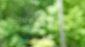 Según testimonios, a Natalie y Davy Lloyd -y a un tercer misionero local- los emboscaron pandilleros armados que se trasladaban en tres camionetas.