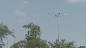 Guardia Civil de San Luis Potosí