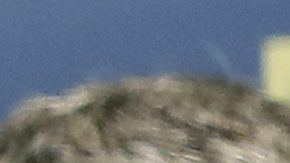 GRAFCAT4862 Sant Joan Despí (BARCELONA) 25/05/2024.- El entrenador del FC Barcelona, Xavi Hernández, durante la rueda de prensa ofrecida hoy tras el entrenamiento realizado en la Ciudad Deportiva Joan Gamper previo al partido de Liga que jugarán mañana frente al Sevilla. EFE/ Andreu Dalmau