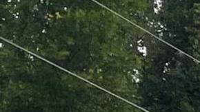 Autobús con trabajadores migrantes chocó en Florida: 8 muertos y 40 heridos, entre ellos mexicanos